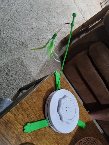 Pets home invisible flying - home,