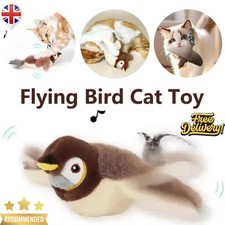 Vivid Chirping Flying Bird Cat