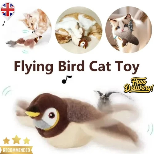 Vivid chirping flying bird - flying,