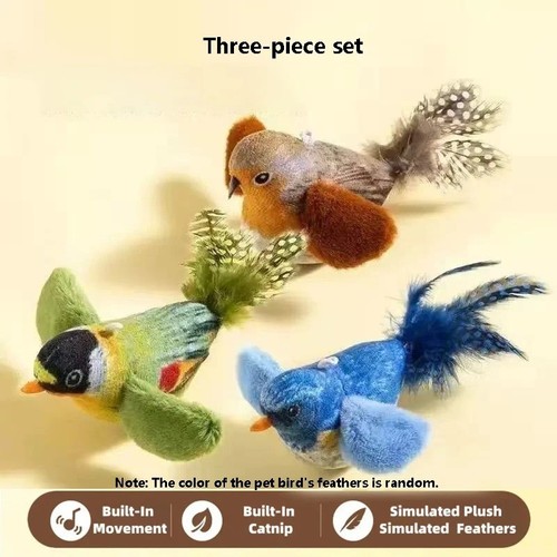 Vivid chirping flying bird cat - chirping,