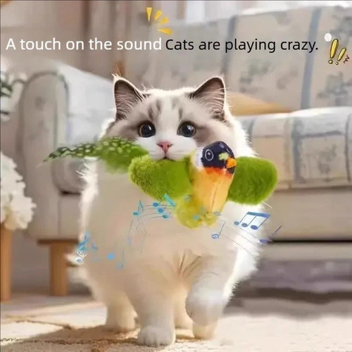 Vivid chirping flying bird cat - flying,
