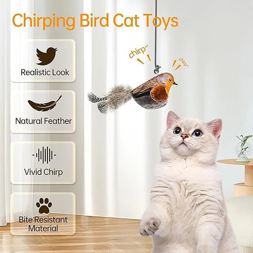 Self entertainment flying bird - flying,