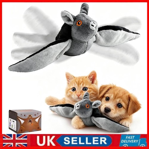 Flying bat dog cat - cat, toy