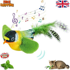 Vivid Chirping Flying Bird Cat