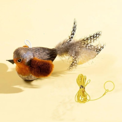 Vivid chirping flying bird - vivid, cat