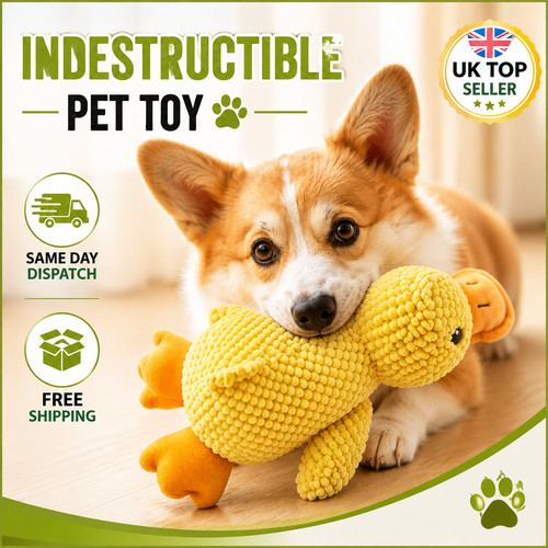 Indestructible cat dog toy - indestructible, &
