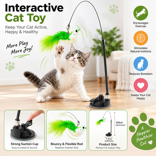 Interactive suction cup cat - interactive,