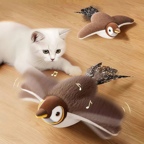 Interactive flying bird cat - interactive,
