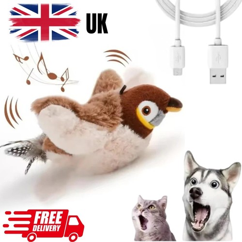 Interactive flying bird cat - interactive,