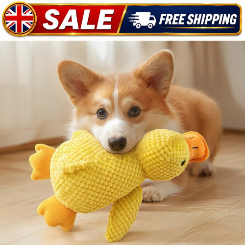 Indestructible cat dog - cat, toy