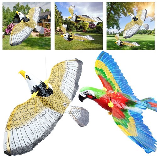 Funny hanging flying bird - hanging,