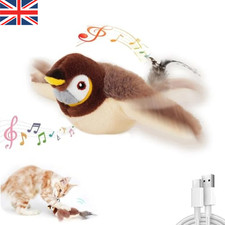 Vivid Chirping Flying Bird Cat