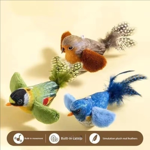 Vivid chirping flying bird cat - chirping,