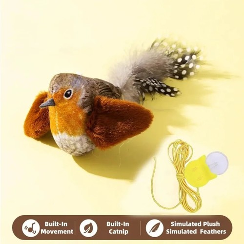 Vivid chirping flying bird cat - flying,