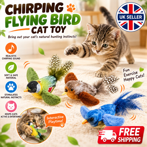 Vivid chirping flying bird cat - vivid,