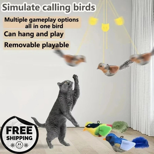 Vivid chirping flying bird cat - bird,