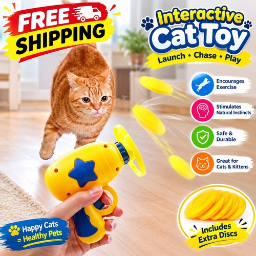 Interactive cat toy - interactive, launch