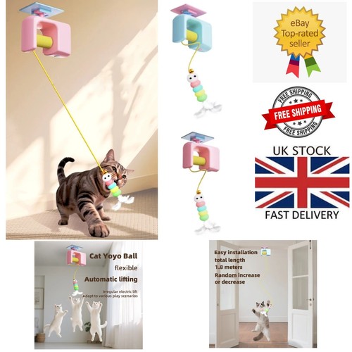 Interactive cat toy - interactive,