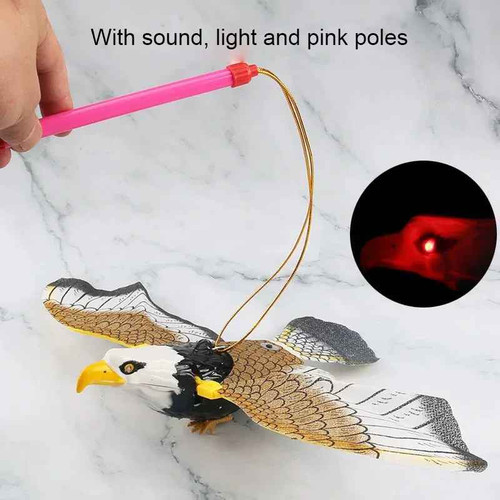 Interactive flying bird - interactive, cat