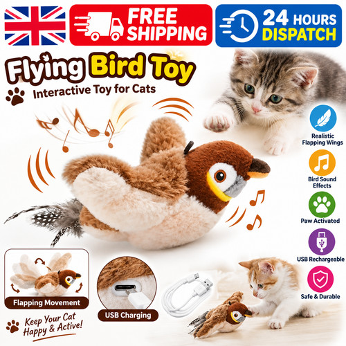 Electronic interactive flying - interactive,