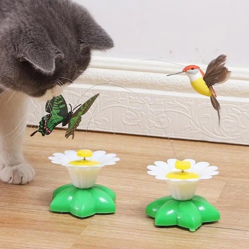 1pcs electric butterfly - butterfly, cat