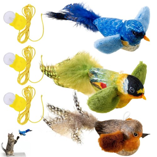 Pack flying bird cat - 3,